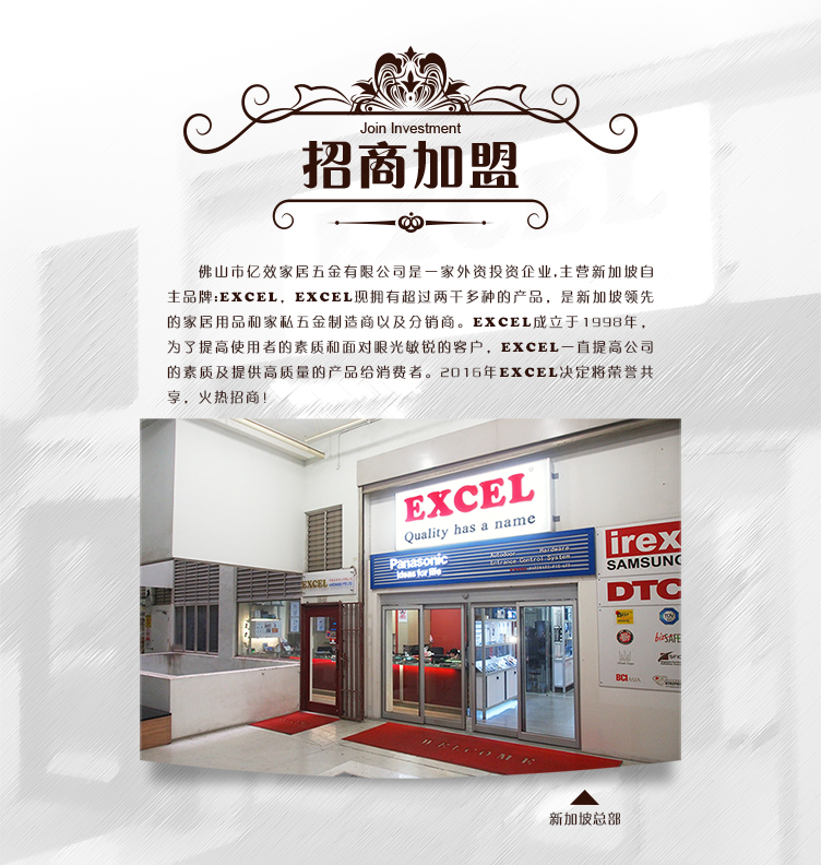 新加坡EXCEL 招商加盟 新加坡EXCEL 招商加盟